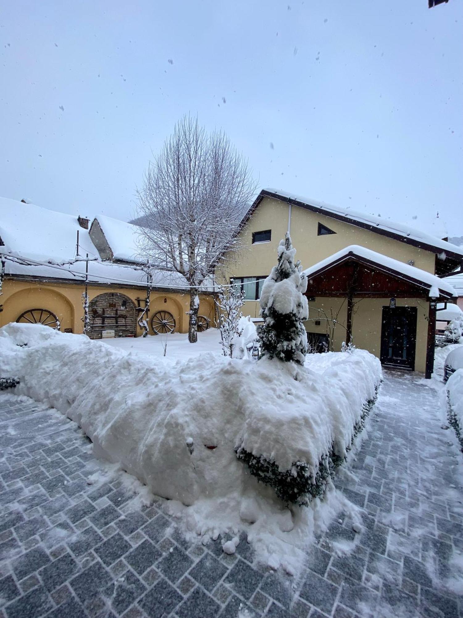 Pensiunea Domnescu Saliste (Sibiu) Exterior foto