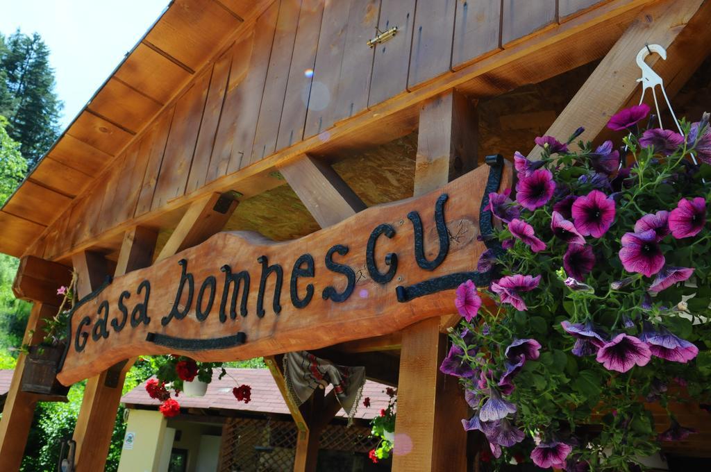 Pensiunea Domnescu Saliste (Sibiu) Exterior foto
