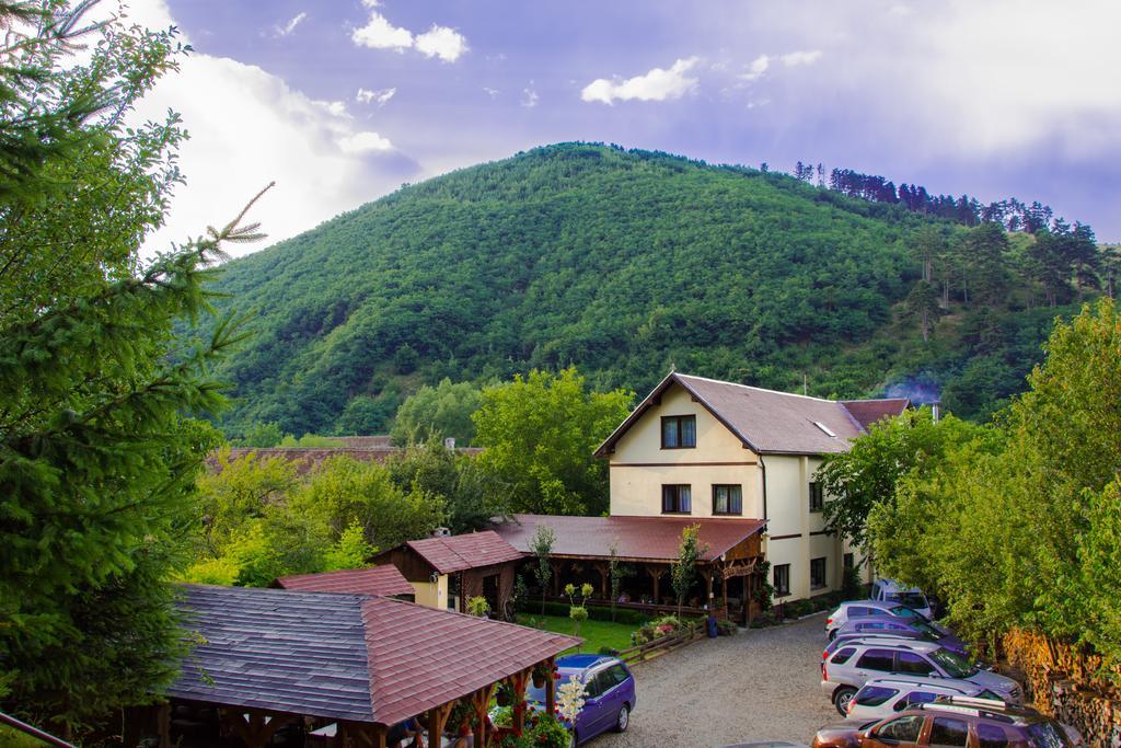 Pensiunea Domnescu Saliste (Sibiu) Exterior foto