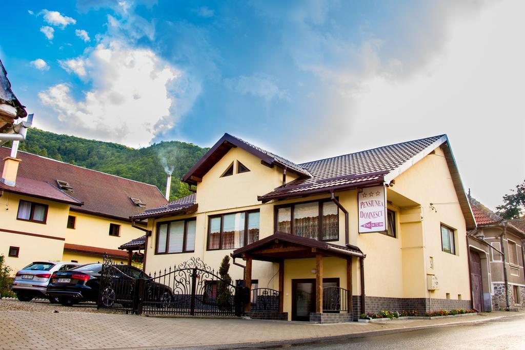 Pensiunea Domnescu Saliste (Sibiu) Exterior foto