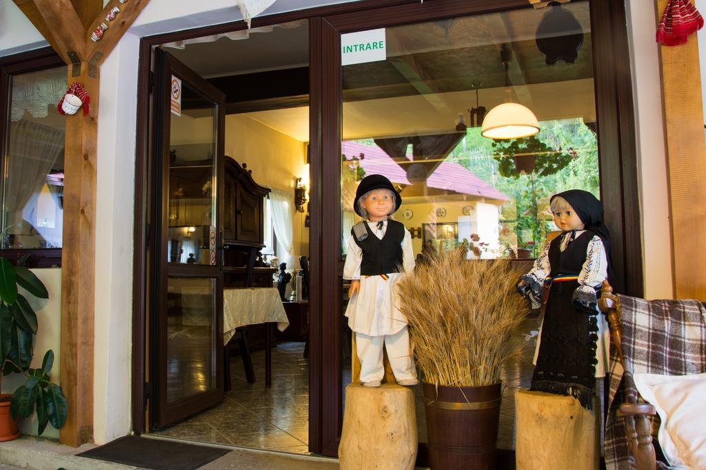 Pensiunea Domnescu Saliste (Sibiu) Exterior foto