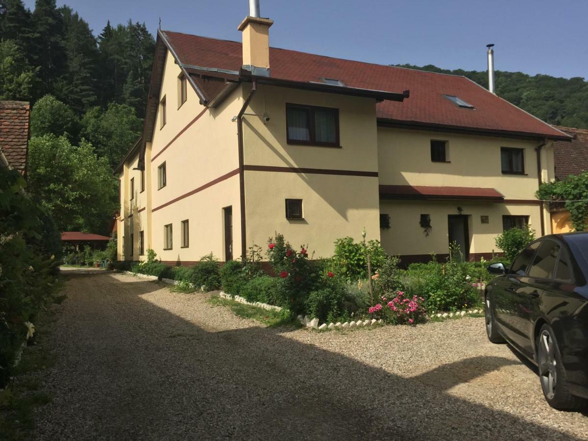 Pensiunea Domnescu Saliste (Sibiu) Exterior foto