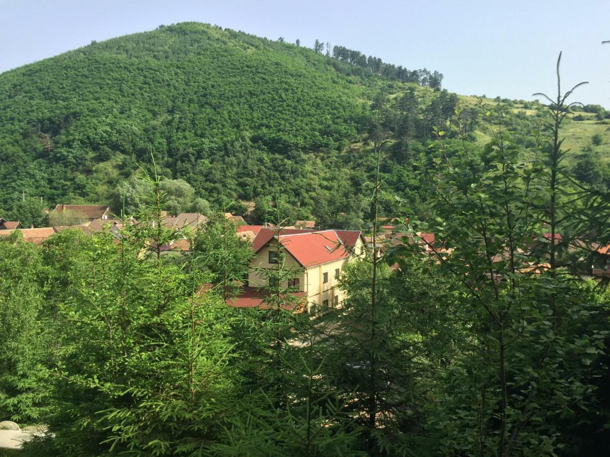 Pensiunea Domnescu Saliste (Sibiu) Exterior foto