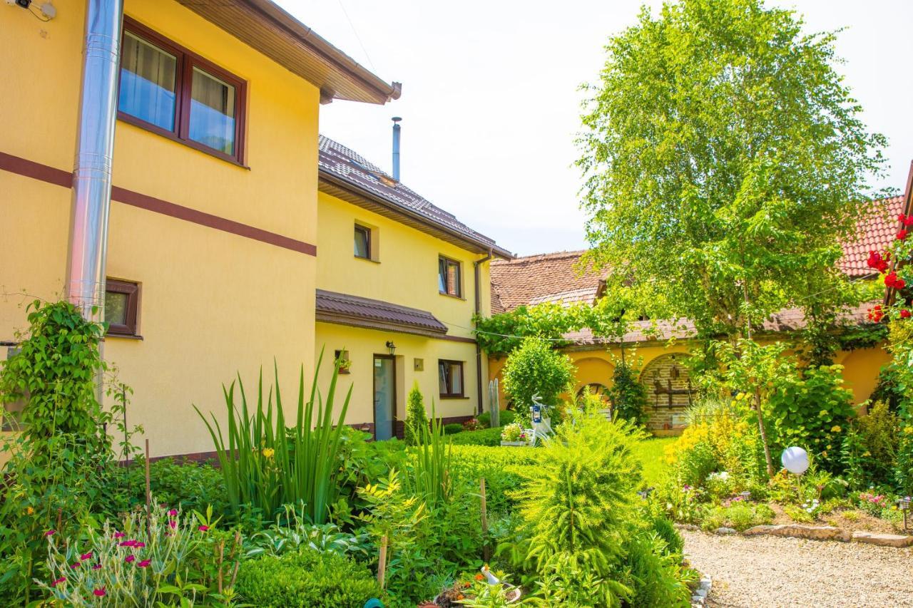 Pensiunea Domnescu Saliste (Sibiu) Exterior foto