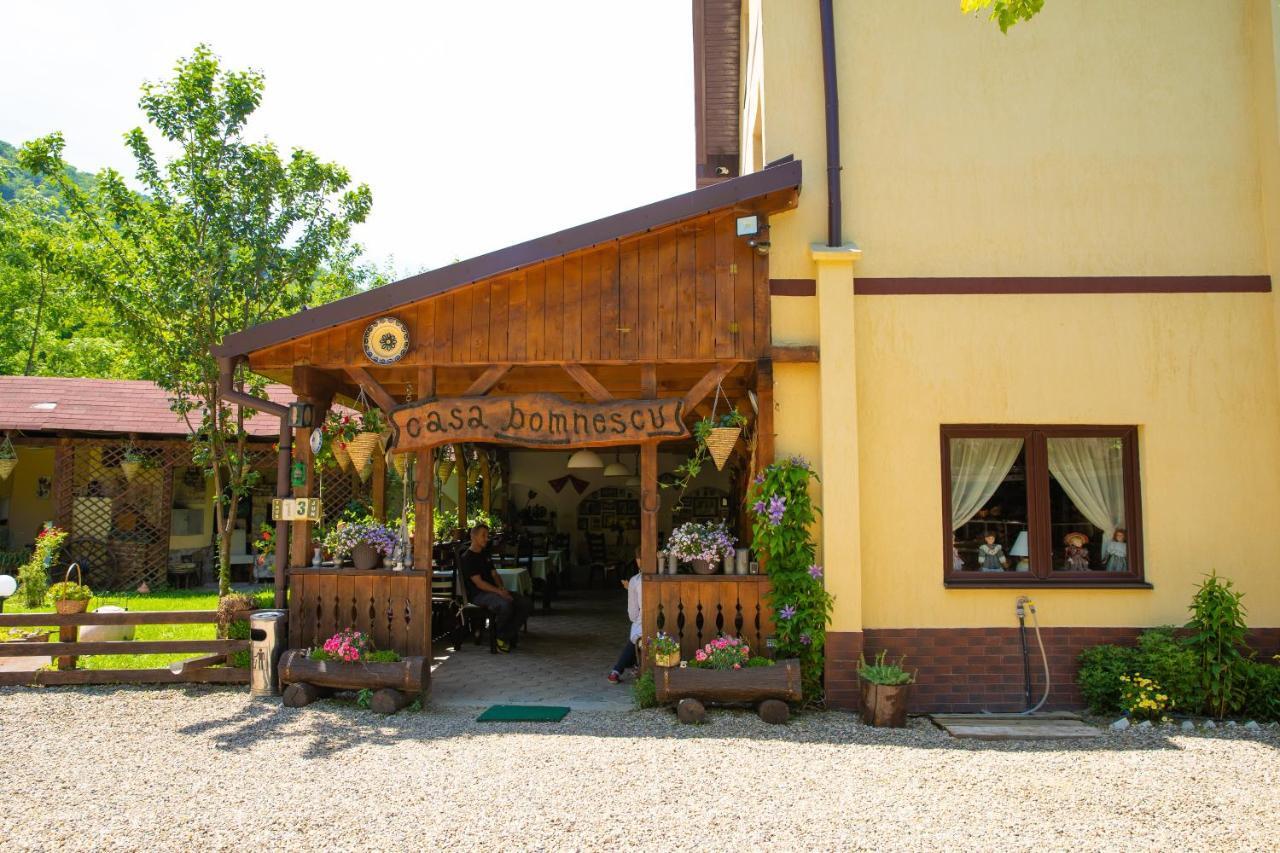 Pensiunea Domnescu Saliste (Sibiu) Exterior foto