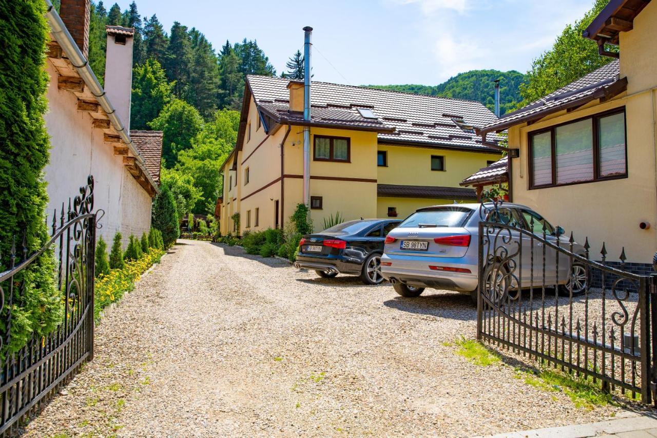 Pensiunea Domnescu Saliste (Sibiu) Exterior foto